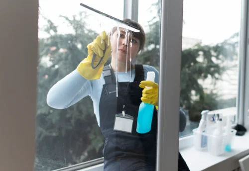 Nettoyage de vitres intérieures et extérieures à Châtenoy